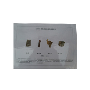 褐藻覆膜标本