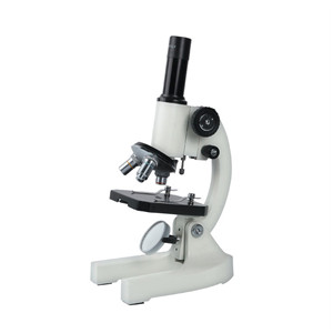 Biomicroscope