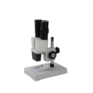 Binocular stereo microscope (40x)