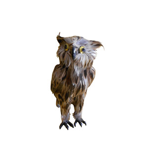Owl simulation model